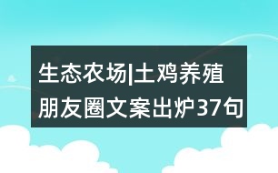 生態(tài)農(nóng)場|土雞養(yǎng)殖朋友圈文案出爐37句