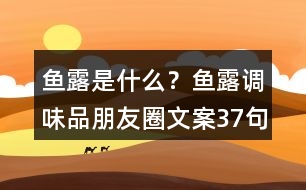 魚露是什么？魚露調(diào)味品朋友圈文案37句