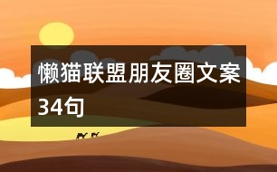 懶貓聯(lián)盟朋友圈文案34句