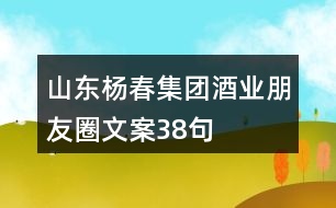 山東楊春集團酒業(yè)朋友圈文案38句