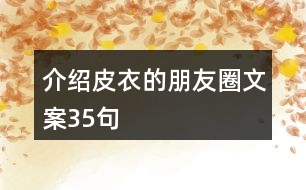 介紹皮衣的朋友圈文案35句