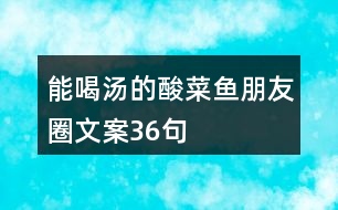 能喝湯的酸菜魚(yú)朋友圈文案36句