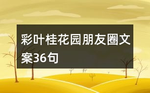 彩葉桂花園朋友圈文案36句