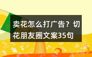 賣花怎么打廣告？切花朋友圈文案35句