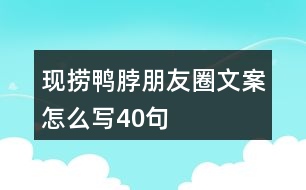 現(xiàn)撈鴨脖朋友圈文案怎么寫40句