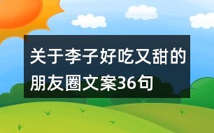 關(guān)于李子好吃又甜的朋友圈文案36句