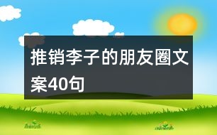 推銷李子的朋友圈文案40句