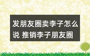 發(fā)朋友圈賣李子怎么說 推銷李子朋友圈文案37句