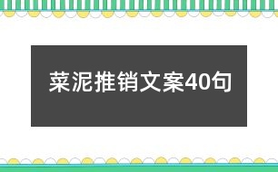 菜泥推銷文案40句