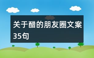 關于醋的朋友圈文案35句