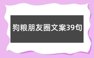 狗糧朋友圈文案39句