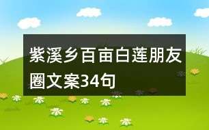 紫溪鄉(xiāng)百畝白蓮朋友圈文案34句