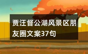 賈汪督公湖風(fēng)景區(qū)朋友圈文案37句