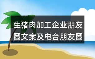 生豬肉加工企業(yè)朋友圈文案及電臺(tái)朋友圈文案40句