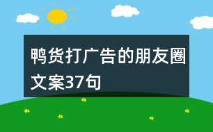 鴨貨打廣告的朋友圈文案37句