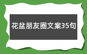 花盆朋友圈文案35句