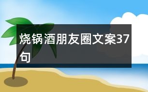 燒鍋酒朋友圈文案37句