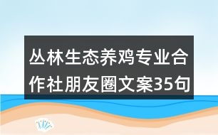 叢林生態(tài)養(yǎng)雞專業(yè)合作社朋友圈文案35句