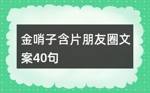 金哨子含片朋友圈文案40句