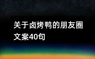 關(guān)于鹵烤鴨的朋友圈文案40句