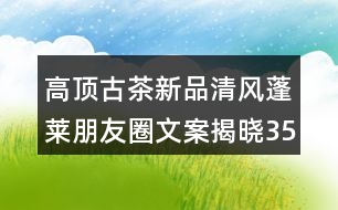 高頂古茶新品清風(fēng)蓬萊朋友圈文案揭曉35句