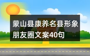 蒙山縣康養(yǎng)名縣形象朋友圈文案40句