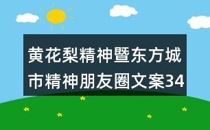 黃花梨精神暨東方城市精神朋友圈文案34句