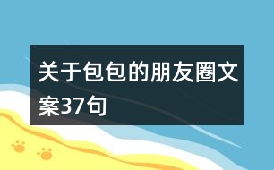 關(guān)于包包的朋友圈文案37句