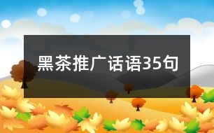 黑茶推廣話語35句