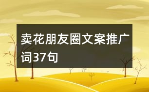 賣花朋友圈文案、推廣詞37句