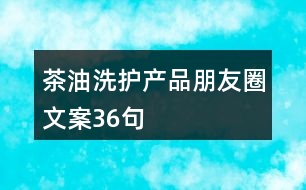 茶油洗護產品朋友圈文案36句