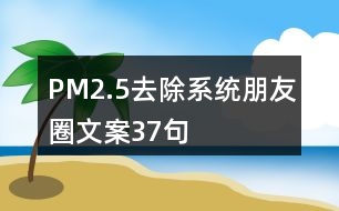 PM2.5去除系統(tǒng)朋友圈文案37句