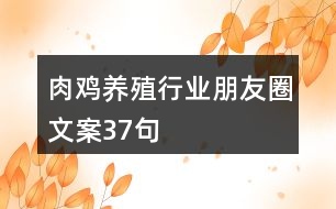 肉雞養(yǎng)殖行業(yè)朋友圈文案37句