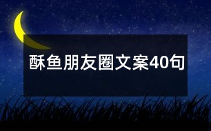 酥魚朋友圈文案40句