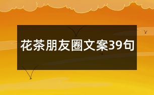 花茶朋友圈文案39句