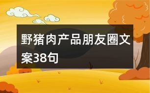 野豬肉產品朋友圈文案38句