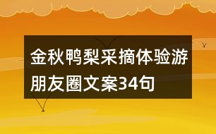 金秋鴨梨采摘體驗(yàn)游朋友圈文案34句