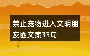 禁止寵物進(jìn)入文明朋友圈文案33句