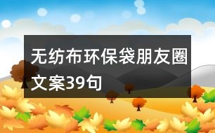 無(wú)紡布環(huán)保袋朋友圈文案39句