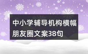 中小學(xué)輔導(dǎo)機(jī)構(gòu)橫幅朋友圈文案38句