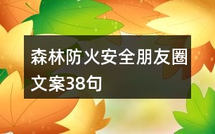 森林防火安全朋友圈文案38句