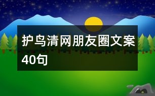 “護(hù)鳥清網(wǎng)”朋友圈文案40句