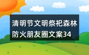 清明節(jié)文明祭祀、森林防火朋友圈文案34句