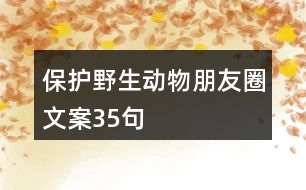 保護(hù)野生動物朋友圈文案35句