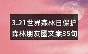 3.21世界森林日保護森林朋友圈文案35句