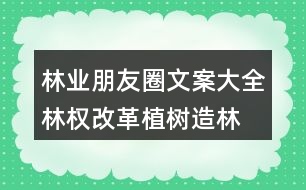 林業(yè)朋友圈文案大全：林權(quán)改革、植樹(shù)造林朋友圈文案36句