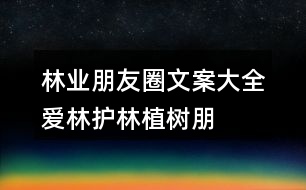 林業(yè)朋友圈文案大全：愛林、護林、植樹朋友圈文案40句