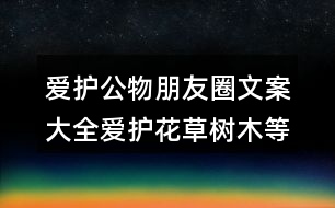 愛護公物朋友圈文案大全：愛護花草樹木等朋友圈文案32句