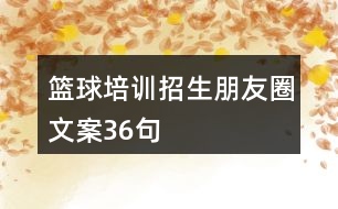 籃球培訓招生朋友圈文案36句