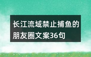 長(zhǎng)江流域禁止捕魚的朋友圈文案36句